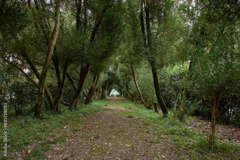 Obraz premium Atrium of Cesar Portela at the end of the Buxos promenade on the Island of San Simon in Galicia, Spain