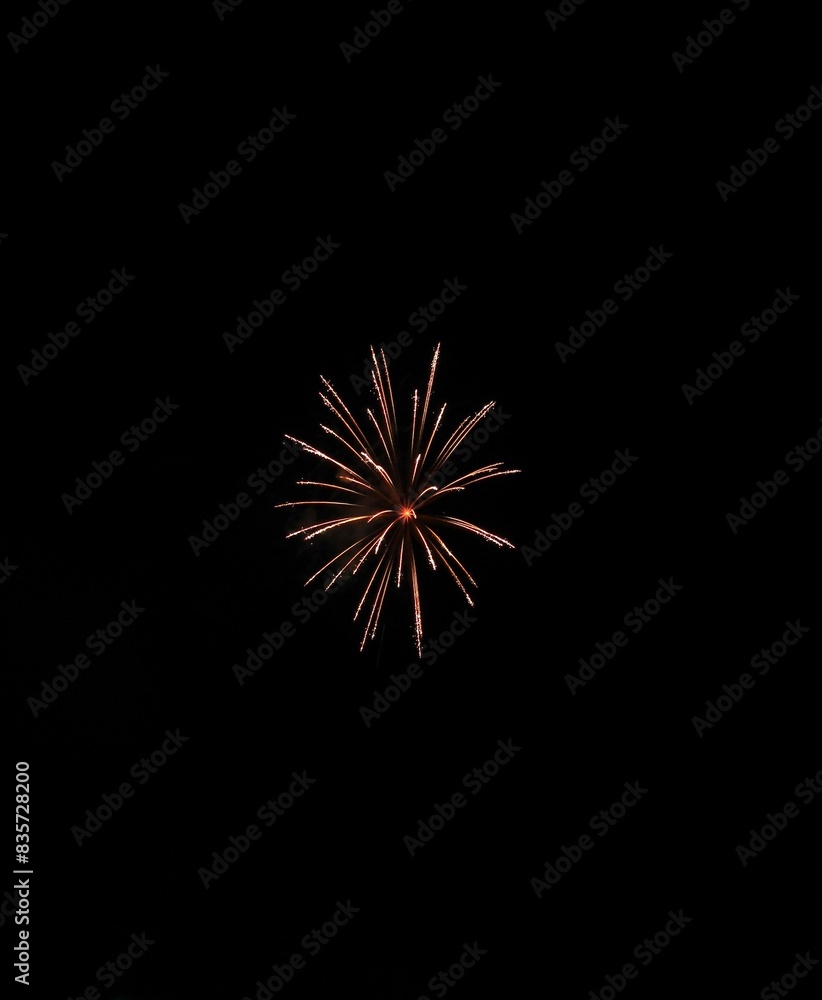 Fototapeta premium 打上げ花火