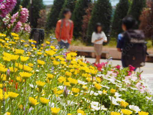 相鉄線　三ツ境駅前の風景　花壇 photo