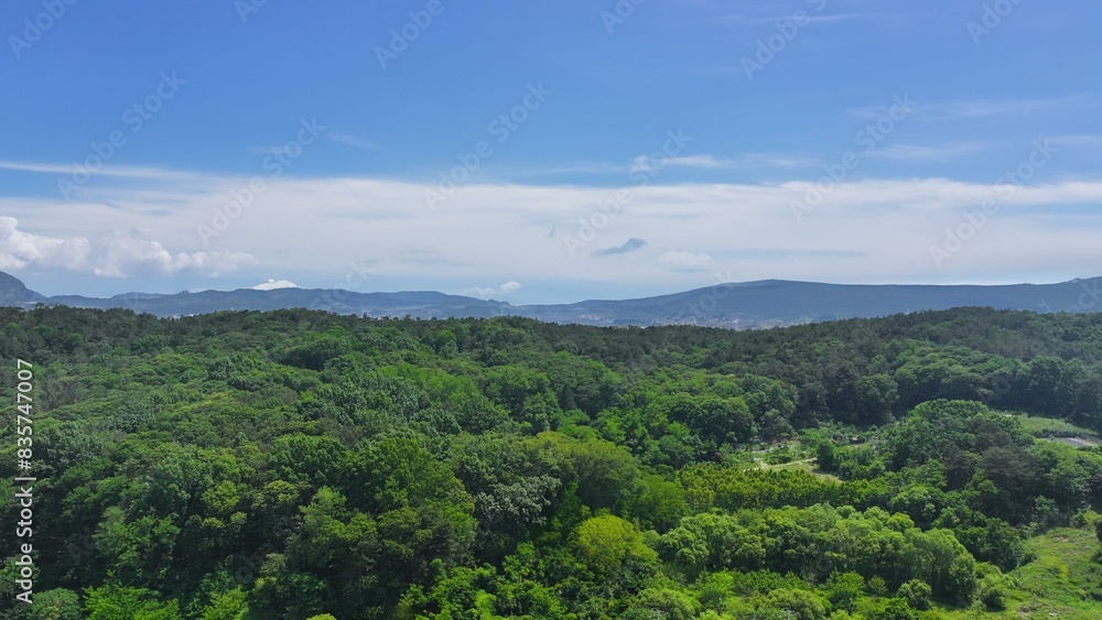 Landscape photo on a sunny day Landscape photo on a sunny day