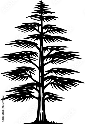 Eastern Red Cedar Tree icon 5