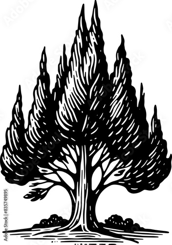 Cypress Tree icon 9