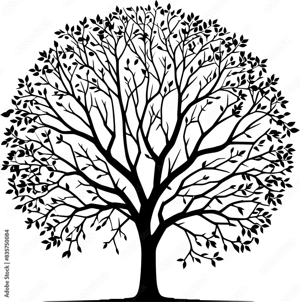 Obraz premium Cottonwood Tree icon 5