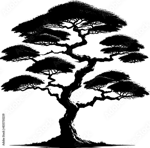 Chinese Elm Tree icon 10