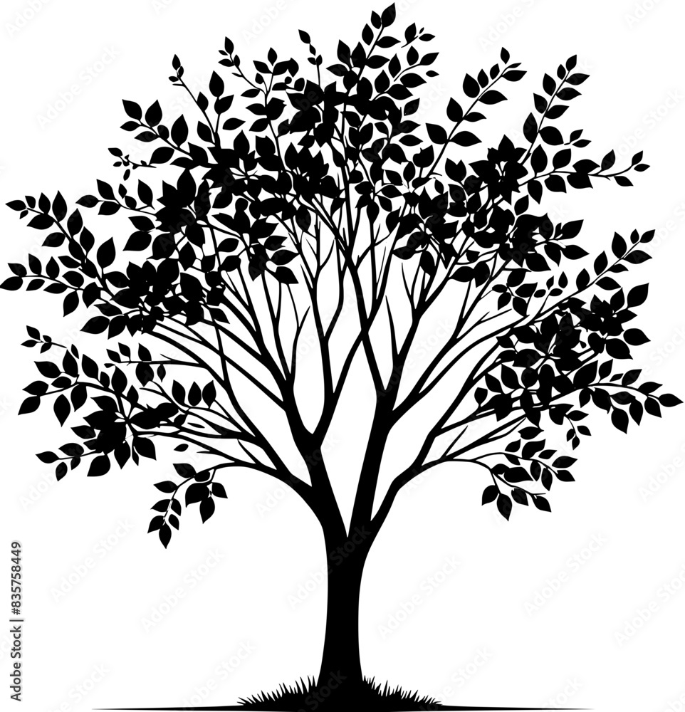 Obraz premium Carolina Silverbell Tree icon 12