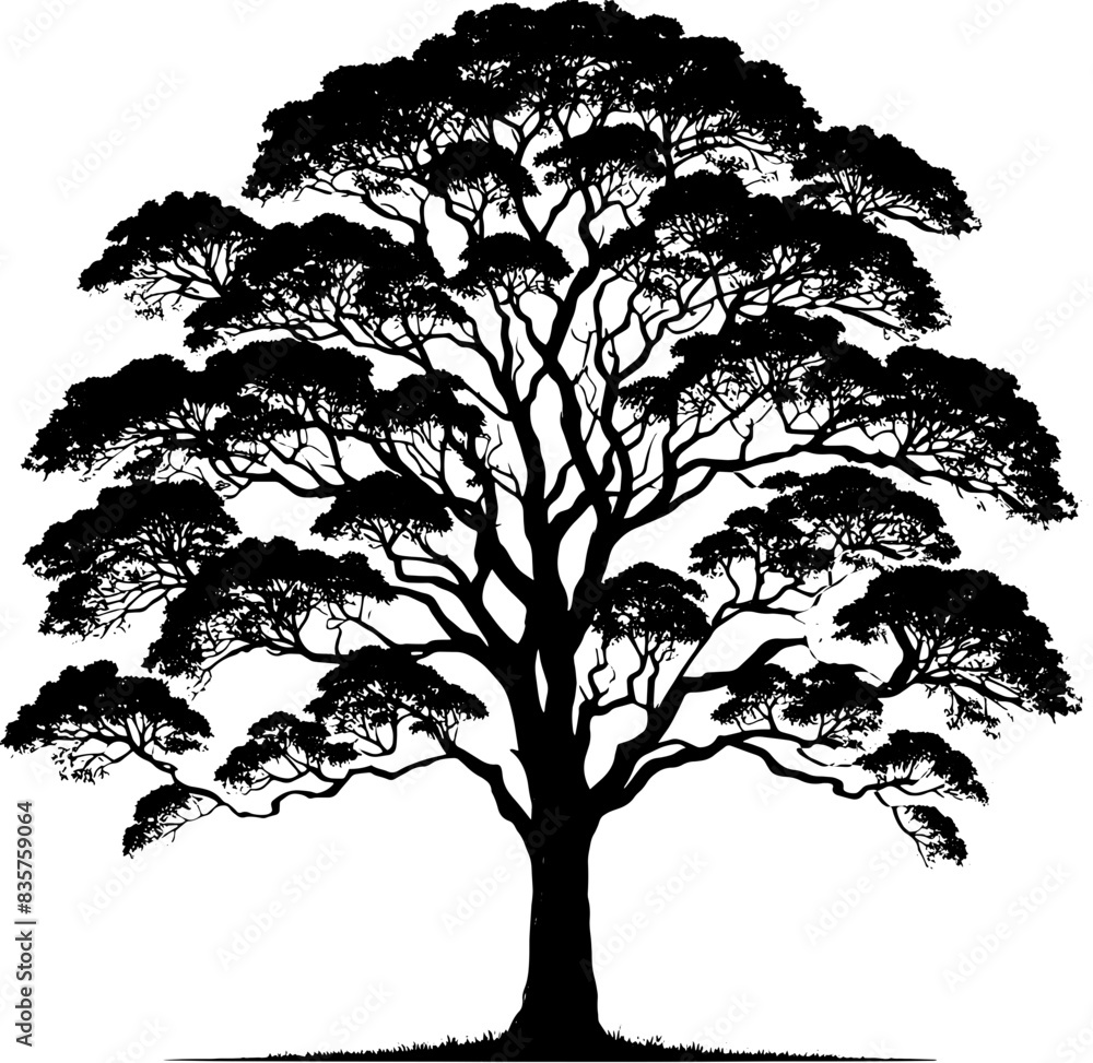 Obraz premium Box Elder Tree icon 4