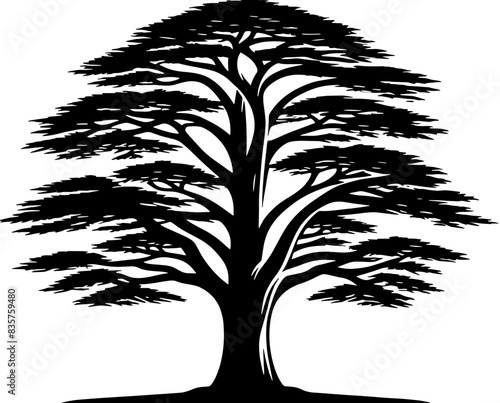 Blue Atlas Cedar Tree icon 13