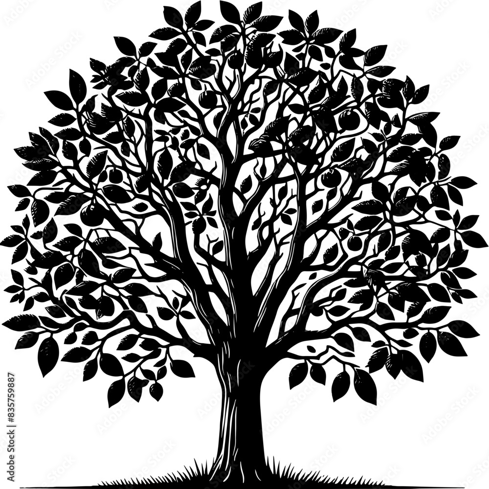 Obraz premium Black Walnut Tree icon 8