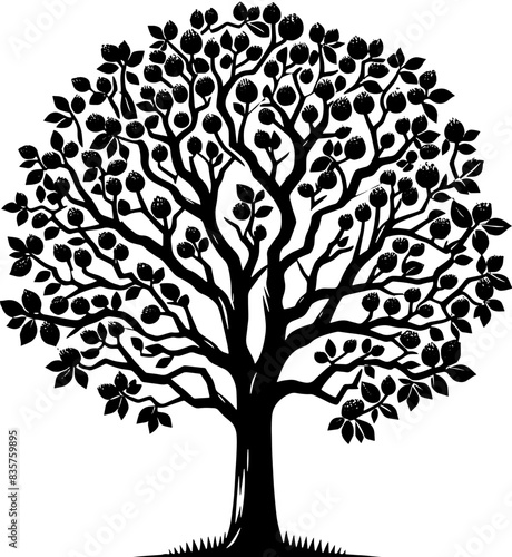 Black Walnut Tree icon 6 © Erum