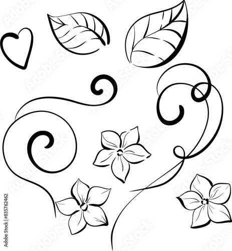 Vector set Spring flowers and leaves, forget me nots. Isolated clipart. Black silhouette for circuit
