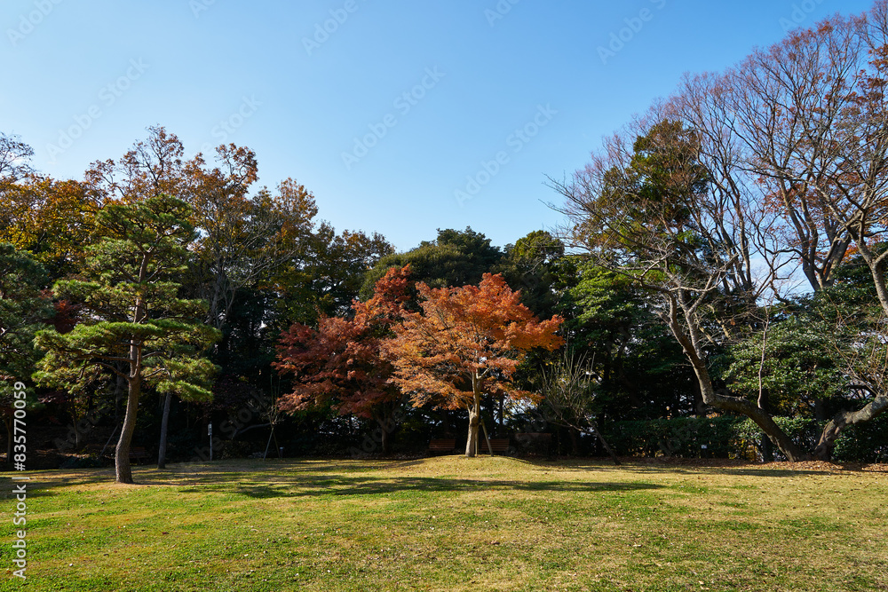 Naklejka premium 神奈川県 大磯城山公園の景色 