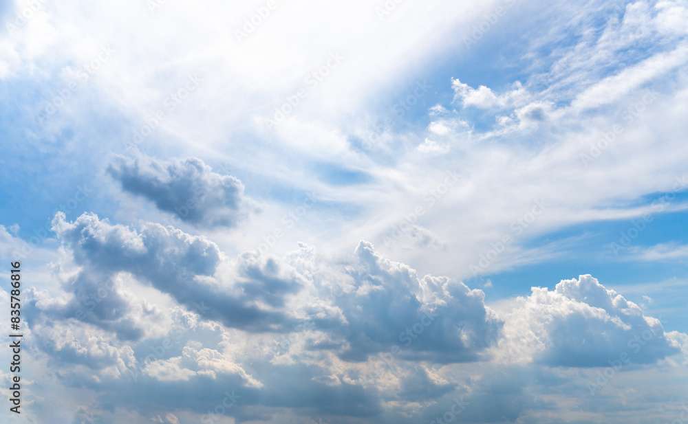 Obraz premium 初夏の晴天の青空を夏雲が浮遊する