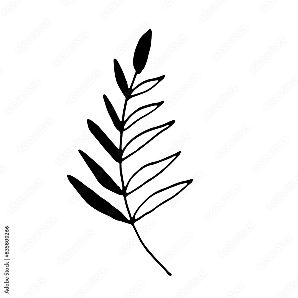 Abstract Floral Botanical Line Art Hand Drawn Abstract Floral Botanical Line Art Hand Drawn