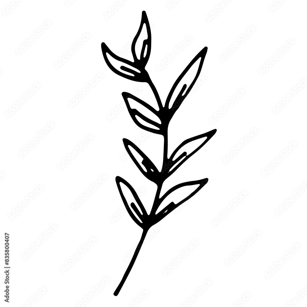 Fototapeta premium Abstract Floral Botanical Line Art Hand Drawn