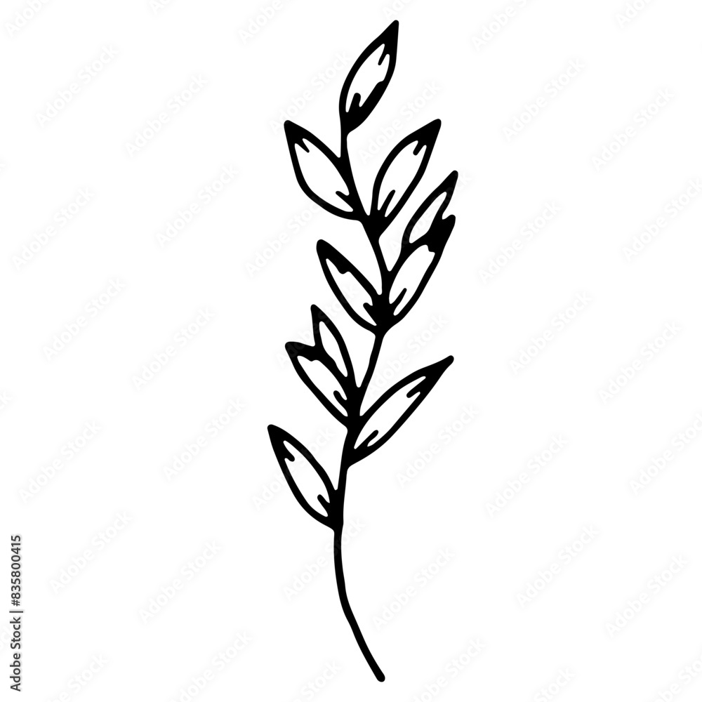 Abstract Floral Botanical Line Art Hand Drawn Abstract Floral Botanical Line Art Hand Drawn