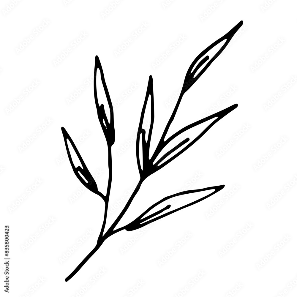 Abstract Floral Botanical Line Art Hand Drawn Abstract Floral Botanical Line Art Hand Drawn