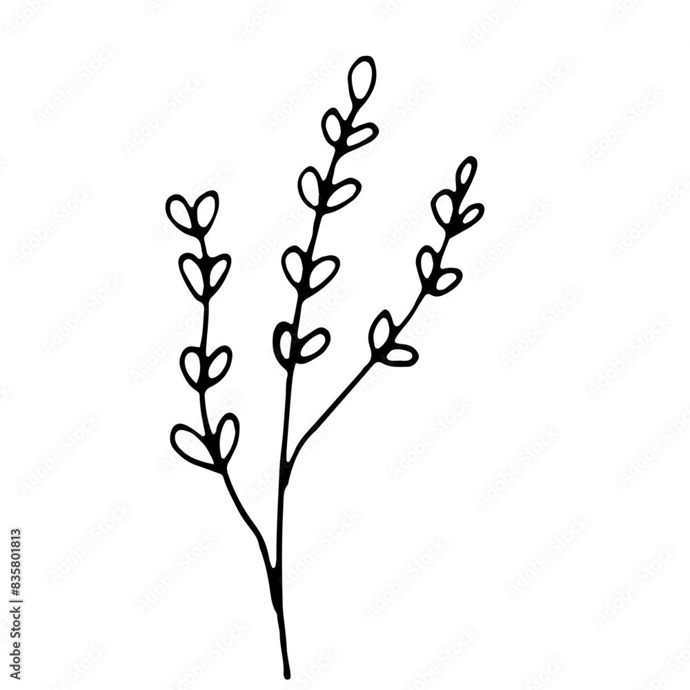 Abstract Doodle Line Art Floral Botanical Abstract Doodle Line Art Floral Botanical