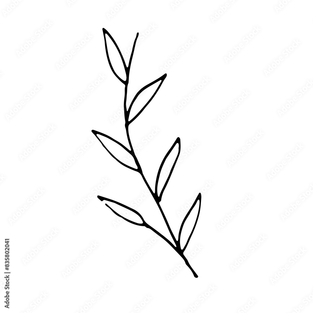 Floral Botanical Abstract Doodle Hand Drawn Line Art Floral Botanical Abstract Doodle Hand Drawn Line Art