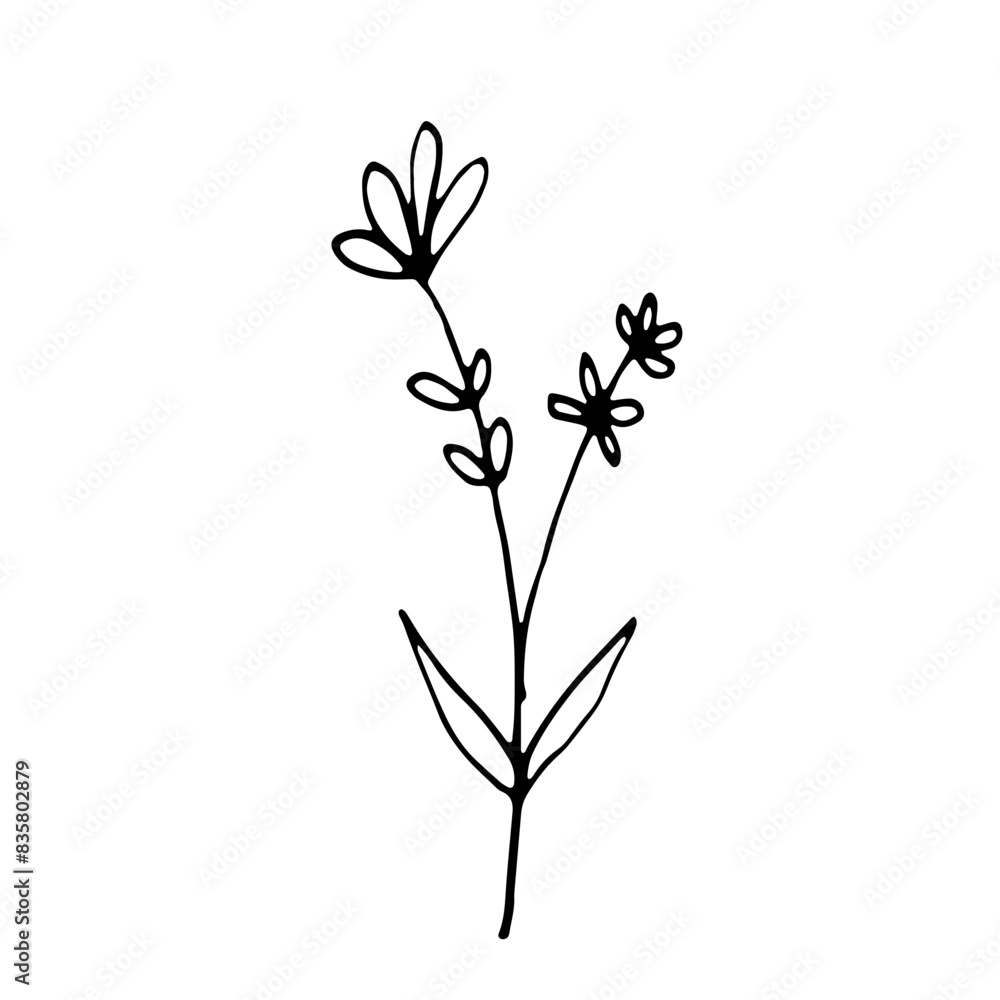 Abstract Doodle Line Art Hand Drawn Sticker Floral Botanical Abstract Doodle Line Art Hand Drawn Sticker Floral Botanical