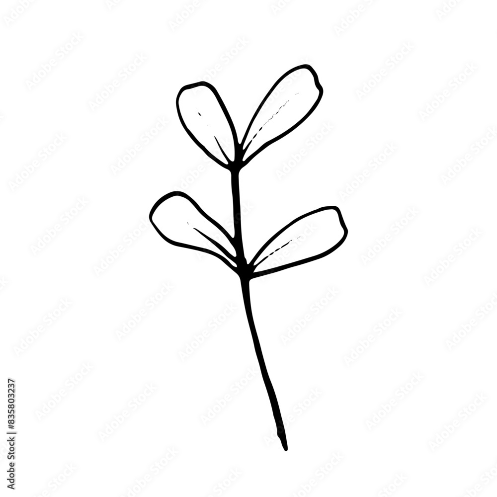 Floral Botanical Abstract Doodle Hand Drawn Line Art Floral Botanical Abstract Doodle Hand Drawn Line Art