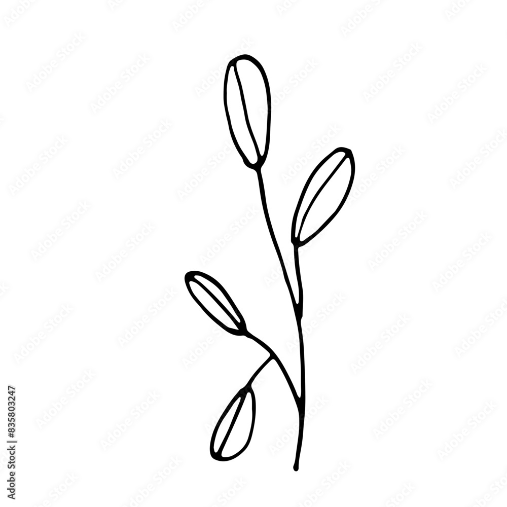 Obraz premium Floral Botanical Abstract Doodle Hand Drawn Line Art