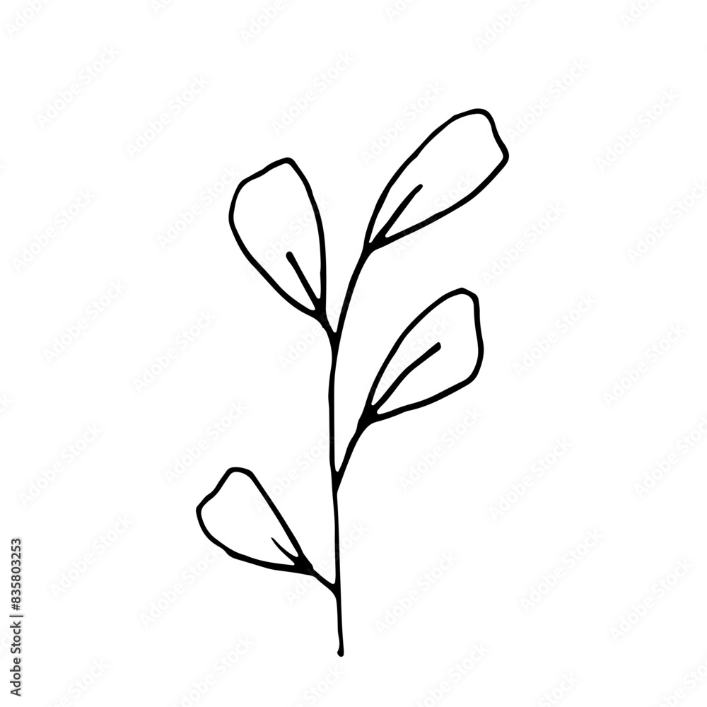 Floral Botanical Abstract Doodle Hand Drawn Line Art