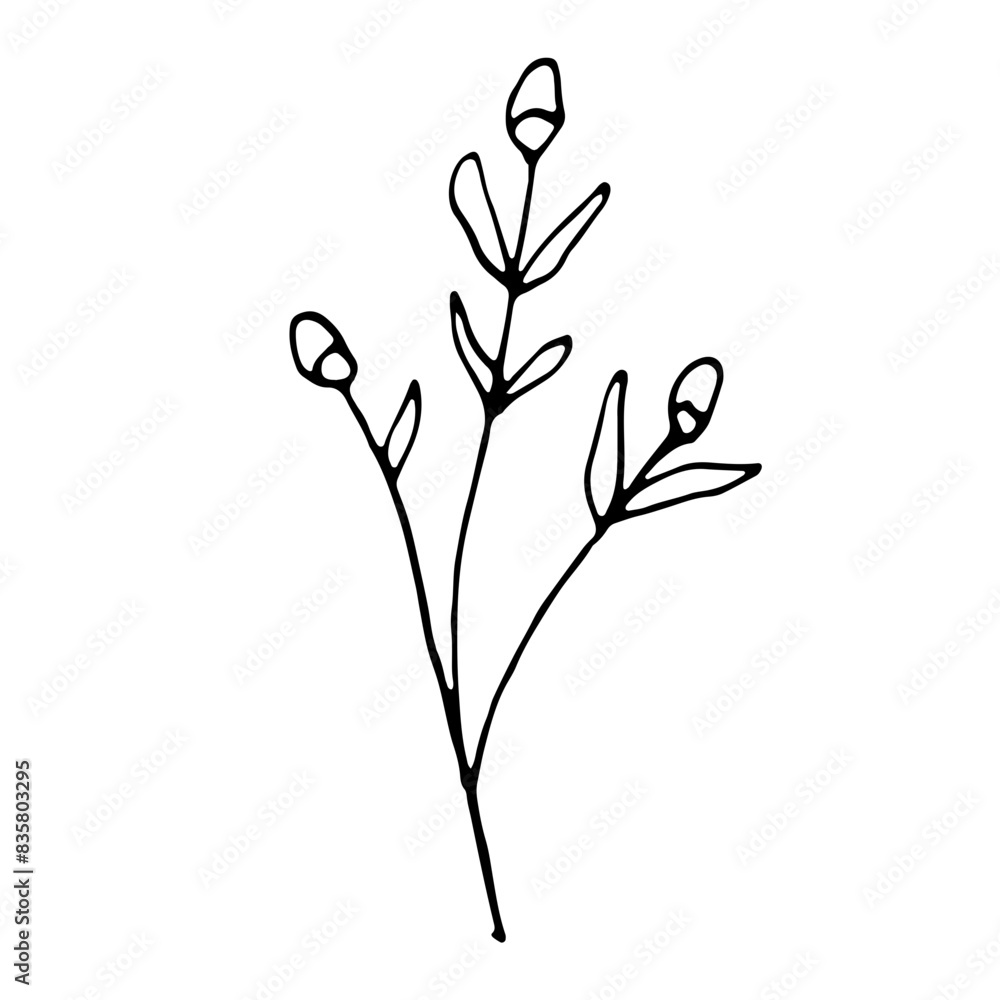 Floral Botanical Abstract Doodle Hand Drawn Line Art Floral Botanical Abstract Doodle Hand Drawn Line Art