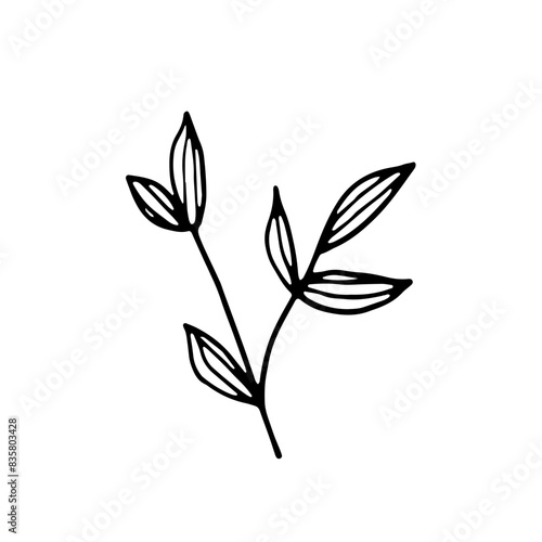 Abstract Line Art Hand Drawn Floral Flower Botanical