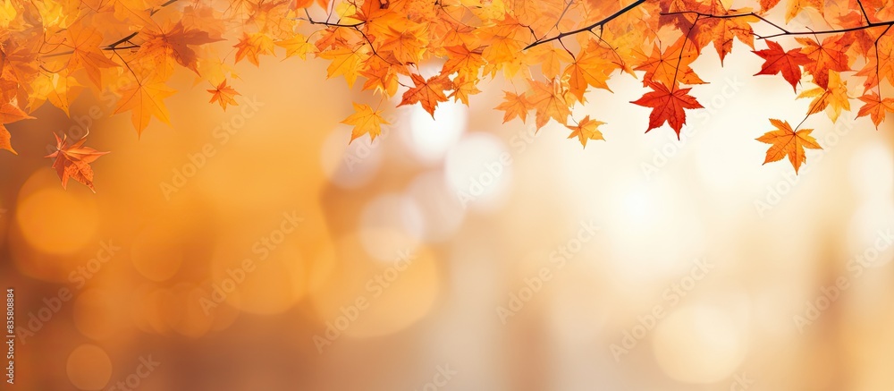 An autumn-themed scene with maple leaves adorning a picturesque woodland backdrop in a wide panoramic format, creating a serene copy space image. An autumn-themed scene with maple leaves adorning a picturesque woodland backdrop in a wide panoramic format, creating a serene copy space image.