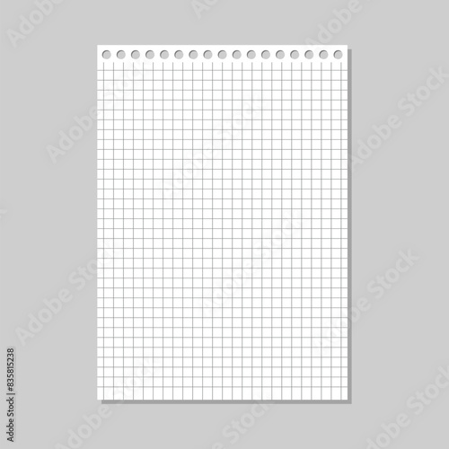 White notebook paper with square boxes, scrapbooking. grid lines, math notebook