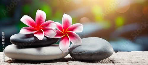 Zen stones and a red plumeria flower symbolizing harmony and inner peace against a blurred background  embodying holistic well-being of body  mind  and soul in a copy space image.