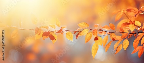 Nature-inspired orange bokeh background with sunlight filtering through yellow trees  ideal as a design element for adding visual interest to copy space images.