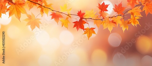 An autumn-themed scene with maple leaves adorning a picturesque woodland backdrop in a wide panoramic format  creating a serene copy space image.