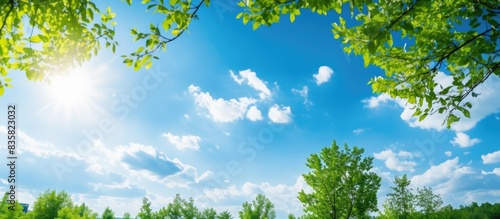 View of lush green tree canopy against clear blue sky, providing copy space image.