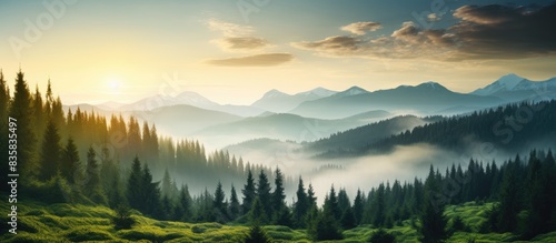Scenic sunrise in the foggy mountains with fir trees and dark mountain silhouettes at dawn, featuring copy space image. photo