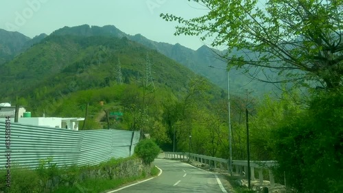 Tulip garden nishat srinagar kashmir india, beautiful colorful flowers, tuliping in april month Clip 22 photo