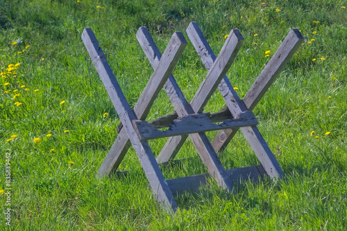 Tableau sur toile Sawhorses for sawing firewood stand on a green lawn.