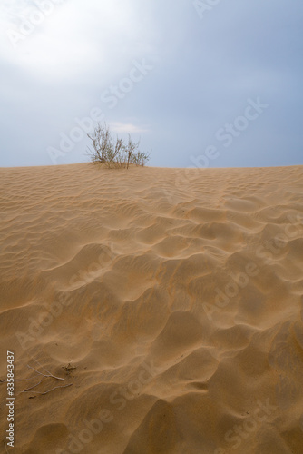View of the Kyzylkum desert photo