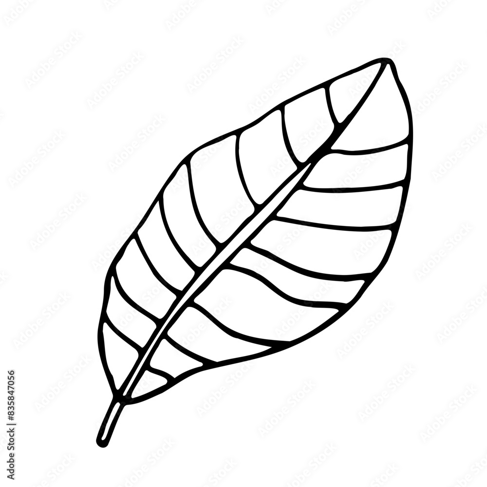 Abstract Doodle Floral Botanical Illustration Line Art Hand Drawn Abstract Doodle Floral Botanical Illustration Line Art Hand Drawn
