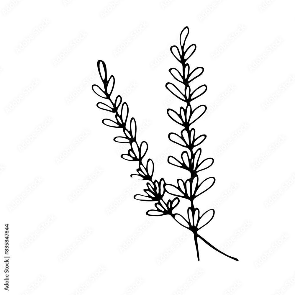 Fototapeta premium Abstract Doodle Floral Botanical Illustration Line Art Hand Drawn