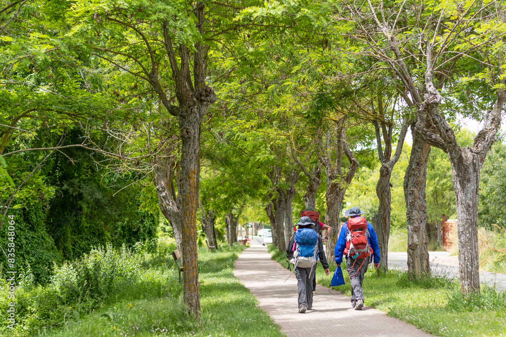 Way of St. James. Pamplona. Pilgrims under the trees on the Paseo del Arga Way of St. James. Pamplona. Pilgrims under the trees on the Paseo del Arga