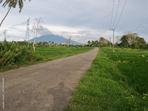Asphalt road in the middle of rice fields with mountains in the background
