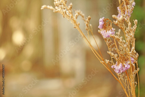 Closeup Dry  Grass Flowers in the bottle with Bokeh background - vintage Patterns with Copy space 
