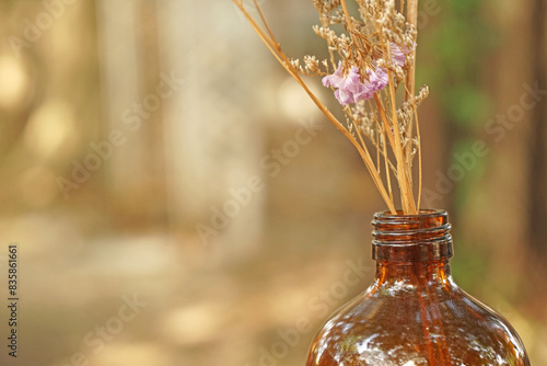 Closeup Dry  Grass Flowers in the bottle with Bokeh background - vintage Patterns with Copy space 
