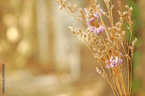 Closeup Dry  Grass Flowers in the bottle with Bokeh background - vintage Patterns with Copy space 