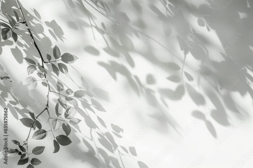 Minimalistic light background with blurred foliage shadow on a white wall. Beautiful background for product presentation