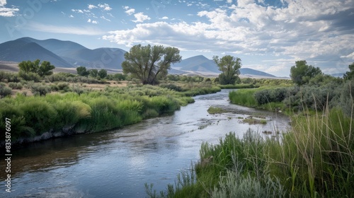 The rio grande flowing northward through the scenic landscapes near taos, northern new mexico, usa