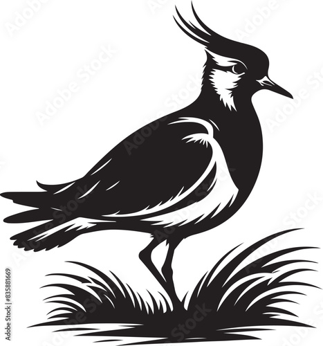 Lapwing Silhouette Vector