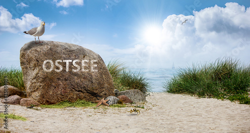 Fototapeta Naklejka Na Ścianę i Meble -  OSTSEE STRANDWEG #2805410.43