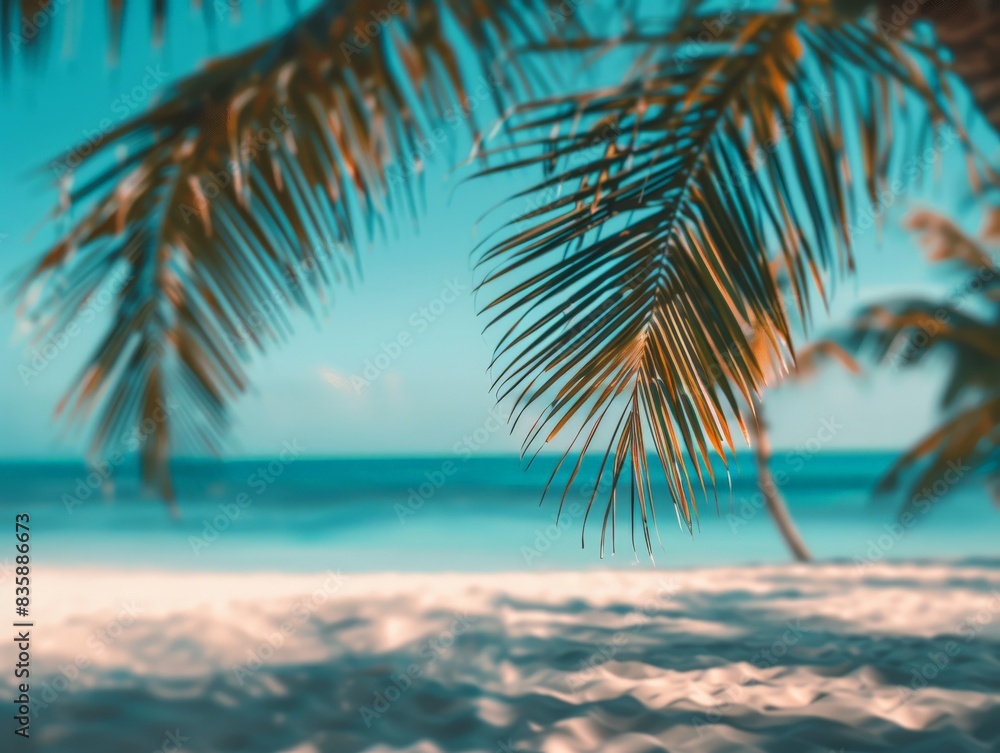 Palm Fronds Framing a Summer Beach Scene Palm Fronds Framing a Summer Beach Scene